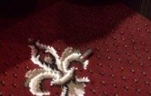 СМИ стали известны подробности стрельбы в подпольном казино Одессы