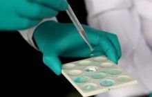 Украинские ученые заявили о создании лекарства от рака: помогают даже при четвертой степени