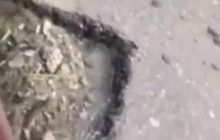 Під Полтавою автодорівці закидали ями землею з узбіччя (відео)