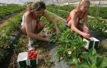 Трудова міграція населення України може стати причиною колапсу пенсійної системи - експерти