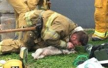 В США пожарный 20 минут делал псу искусственное дыхание и вернул его к жизни