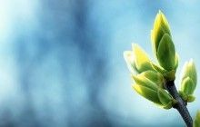 Синоптик попередила про прихід справжньої весни до України