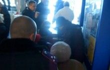 У Нікополі зоозахисники увірвалися до міськради через рішення присипляти безпритульних тварин (фото)