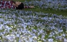 Вихідні та свята в Україні: календар на 2020 рік