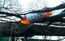 В Одесі невідомі кинули "коктейль Молотова" у двір багатодітної родини