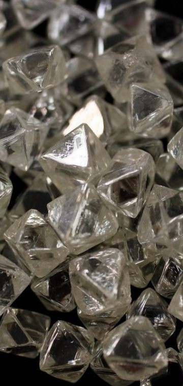 Neue Zürcher Zeitung: