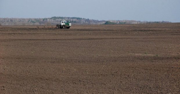 Fourteen Ukrainian regions launch grain sowing campaign