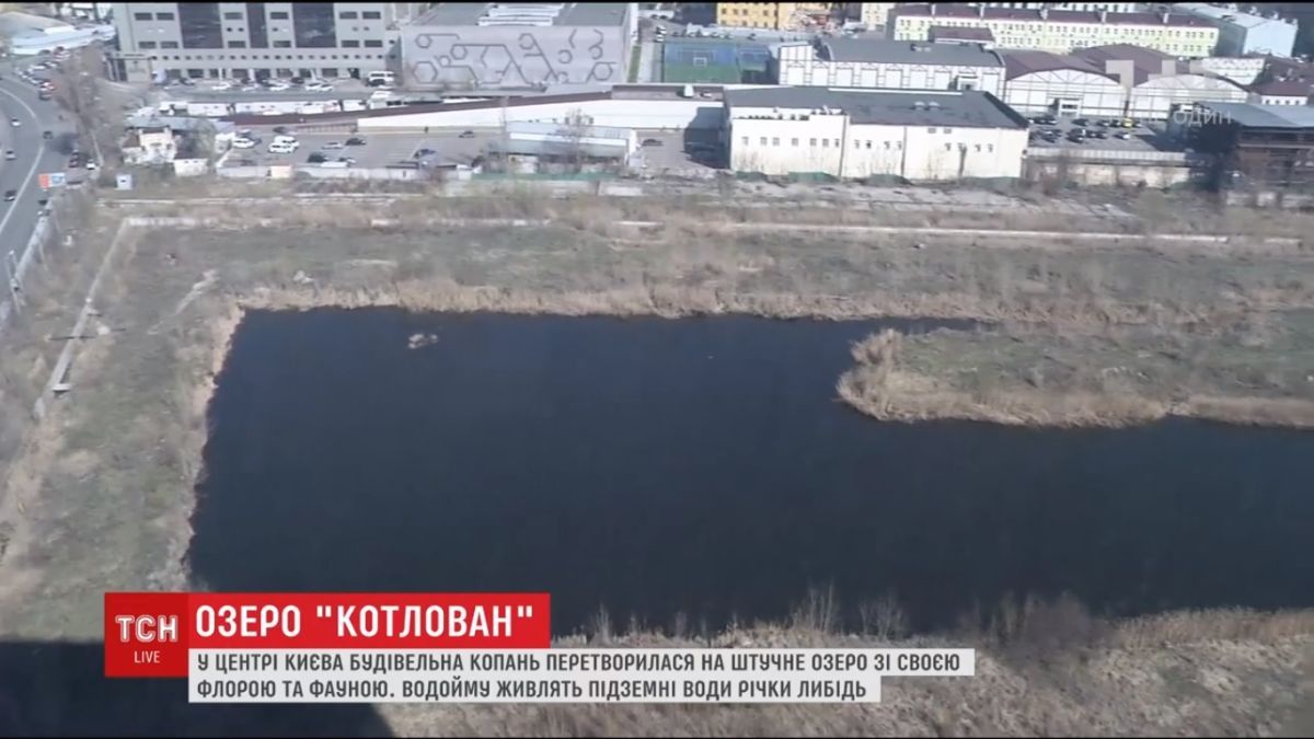 скриншот видео скриншот видео