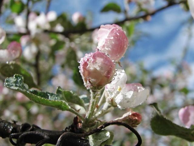 В Украине сегодня местами будет дождь и похолодает / live4fun.ru