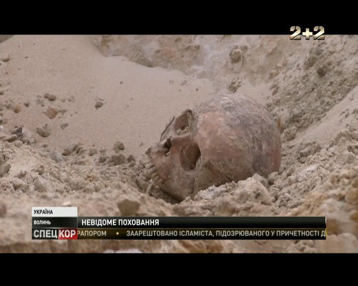 На Волыни нашли массовое захоронение времен Второй мировой войны / На Волыни нашли массовое захоронение времен Второй мировой войны /
