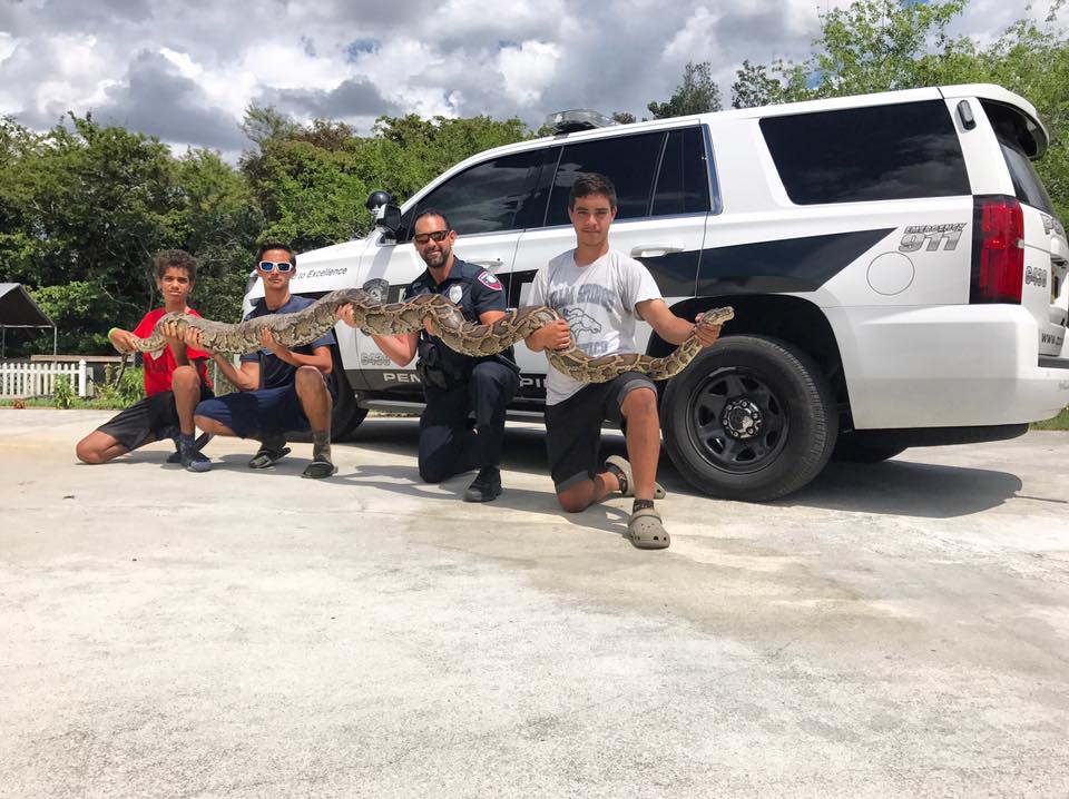 Во Флориде нашли питона, пострадавшего от пожара / Pembroke Pines Police Department Во Флориде нашли питона, пострадавшего от пожара / Pembroke Pines Police Department