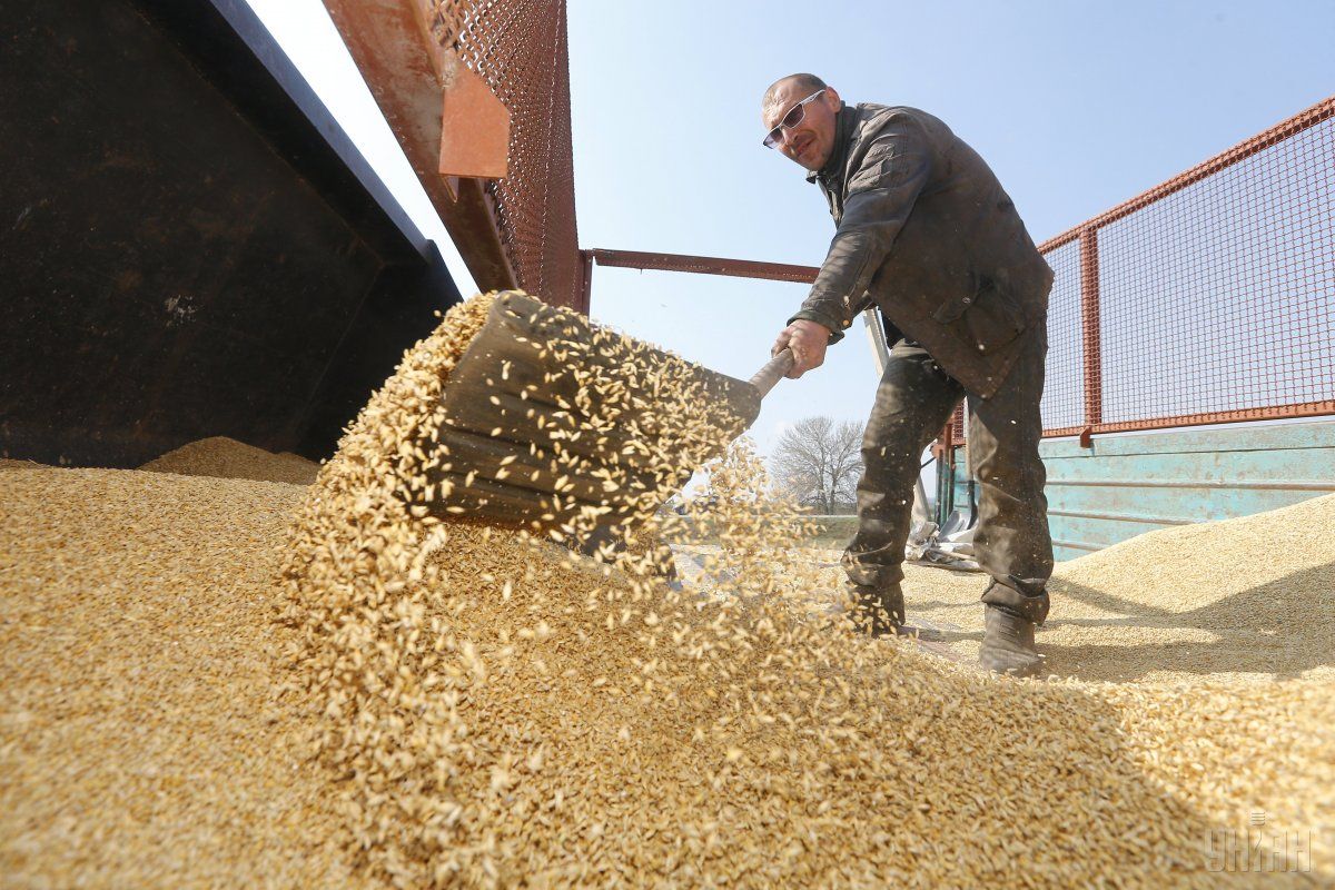 Росіяни вивезли з окупованої території України чверть запасів зерна / фото УНІАН
