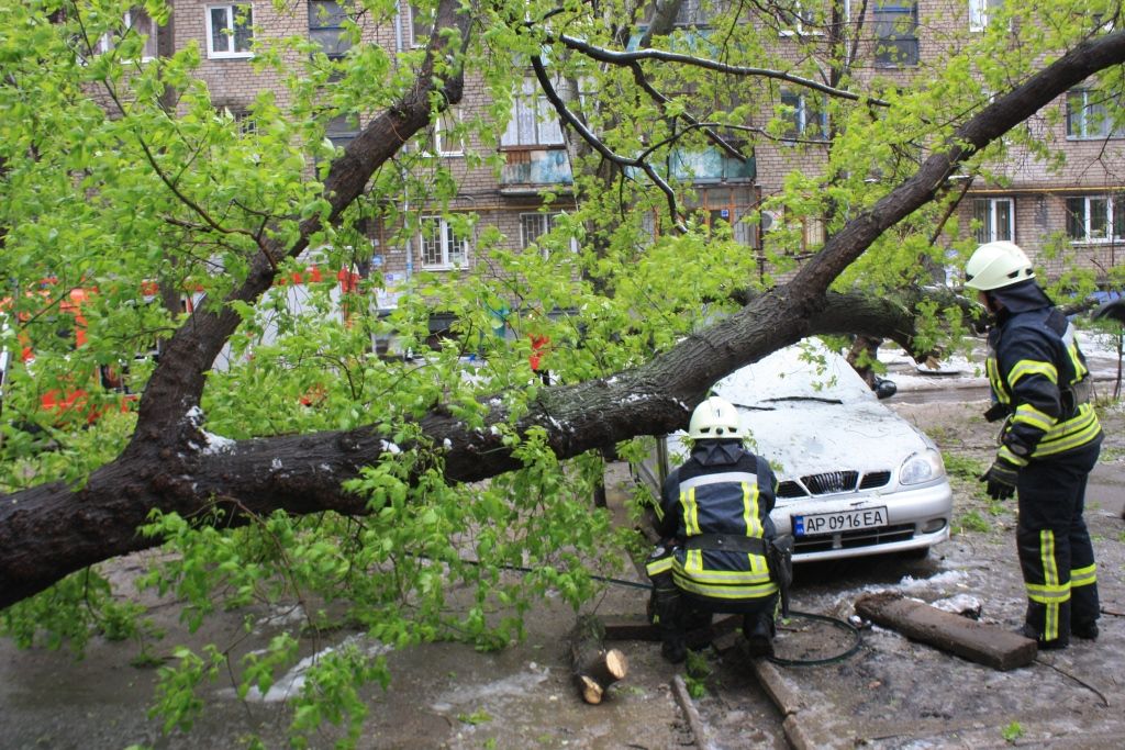 Непогода в Запорожье / ГСЧС Непогода в Запорожье / ГСЧС