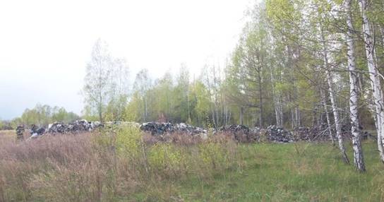 Сміття незаконно скинули у лісі / фото: kv.npu.gov.ua Сміття незаконно скинули у лісі / фото: kv.npu.gov.ua