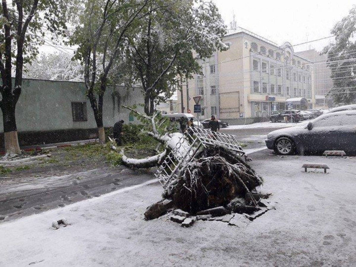 hromadske.ua hromadske.ua