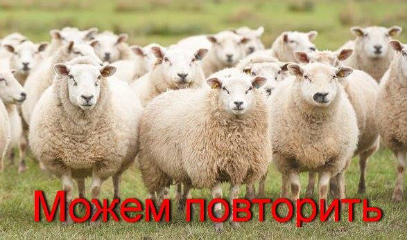 Соцмережі висміяли зіткнення корабля РФ із судном з вівцями / facebook.com/baba.and.kit Соцмережі висміяли зіткнення корабля РФ із судном з вівцями / facebook.com/baba.and.kit