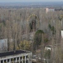 U.S. veterinarians to treat stray dogs in Chornobyl - media