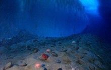 Ученые показали на видео, как выглядит рельеф дна океана без воды