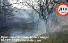 В Киеве снова масштабный пожар: горит сухая трава на Совских прудах (фото)