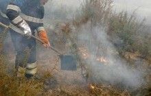 В течение суток пожарные Житомирщины ликвидировали 3 возгорания в природных экосистемах