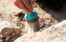 Унікальна знахідка: на Львівщині археологи знайшли 80 старовинних монет 14 століття