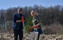 На Тернопільщині висадили 4 га лісу (фото, відео)