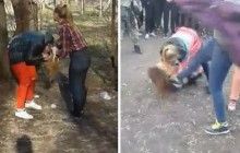 Вайн-баттл: уполномоченный Порошенко по правам ребенка прокомментировал жестокое избиение школьницы в Чернигове (видео)