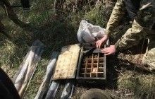 На Дніпропетровщині СБУ виявила дві схованки зі зброєю та боєприпасами