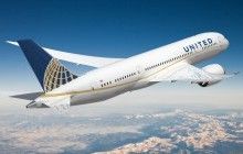 Еще один инцидент: пассажира United Airlines ужалил скорпион