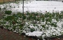 Лозову на Харківщині накрило снігопадом: школярам влаштували позачергові канікули (фото, відео)