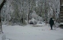 Апрельский снег на Днепропетровщине засыпал уже зеленые деревья и устроил транспортный коллапс (фото)