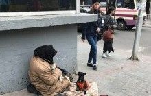 "Скотиняка такая паршивая!": во Львове попрошайку обвинили в спаивании собак (фото, видео)