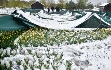 Синоптик объяснила причины непогоды в Украине и рассказала, стоит ли Киеву готовиться к снежному армагеддону