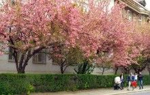 Погода на неделю: в Украину вернется долгожданное потепление, синоптики обещают до +24° (карта)