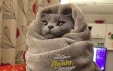 Від снігу до дощу й сонця: негода накрила Львів (фотожаби)