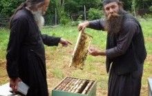 Аптечка Святої Гори: природний антибіотик (рос.)