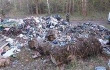 Останній несанкціонований скид львівського сміття на Тернопільщині завдав збитки довкіллю на 140 тисяч