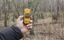 "Рай для диких животных и энергетики": СМИ собрали малоизвестные факты о Чернобыльской зоне (фото)
