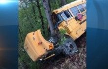 В США 15 школьников пострадали в ДТП из-за оленя