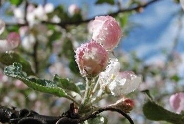 Жара покидает Украину: сегодня по всей стране станет прохладнее (карта)