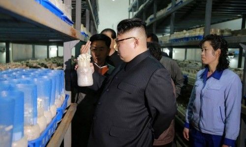 Погляд The Guardian на Трампа та Північну Корею: