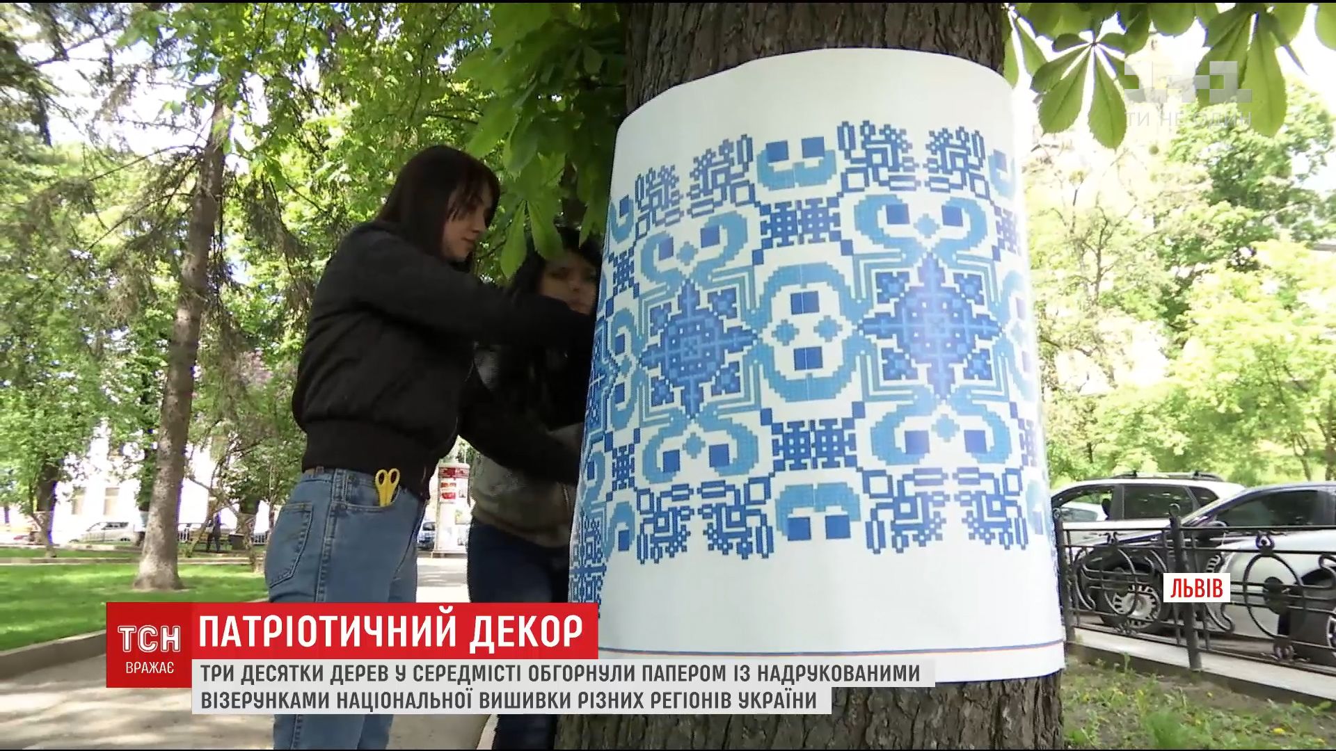 У центрі Львова три десятки дерев одягли у вишиванки / У центрі Львова три десятки дерев одягли у вишиванки /