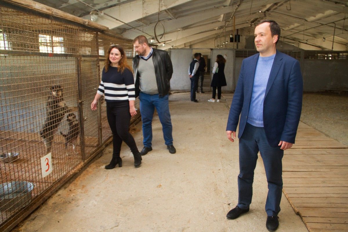 Инспекция отремонтированного приюта для животных в Киеве / фото kievcity.gov.ua Инспекция отремонтированного приюта для животных в Киеве / фото kievcity.gov.ua
