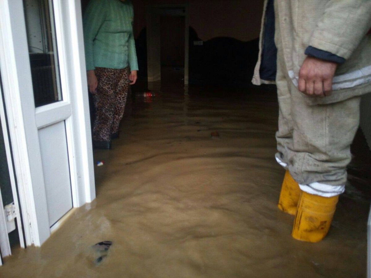 Підрозділи ДСНС відкачали воду з 11 домоволодінь / фото ДСНС України в Закарпатській області Підрозділи ДСНС відкачали воду з 11 домоволодінь / фото ДСНС України в Закарпатській області