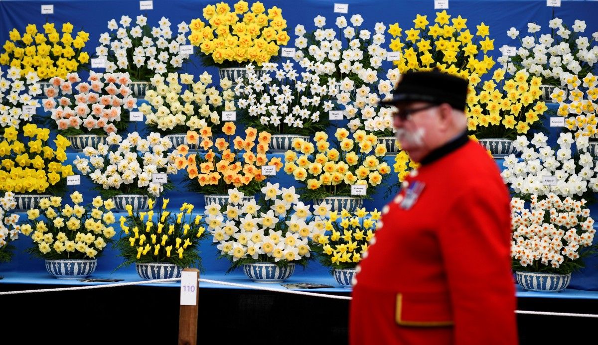 Выставка цветов в Челси / Reuters Выставка цветов в Челси / Reuters