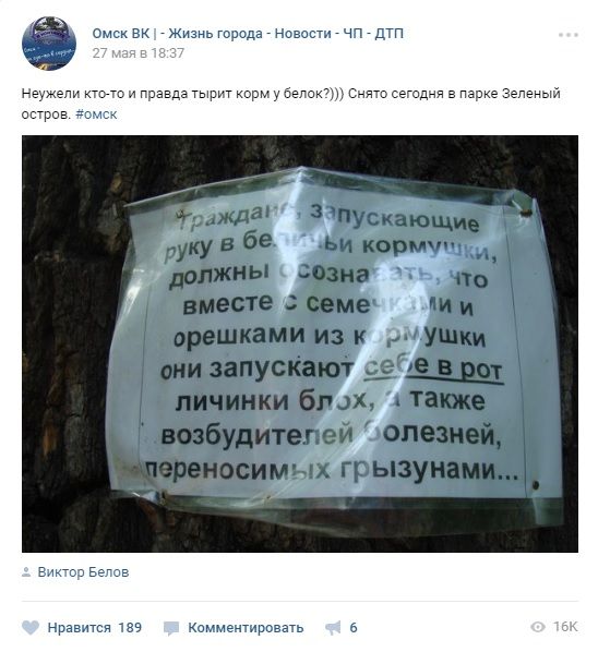 Жителей российского Омска попросили не объедать белок (фото) Жителей российского Омска попросили не объедать белок (фото)