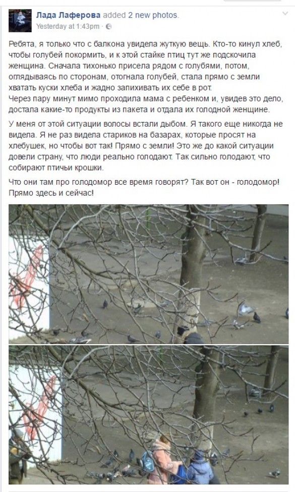 Жителей российского Омска попросили не объедать белок (фото) Жителей российского Омска попросили не объедать белок (фото)