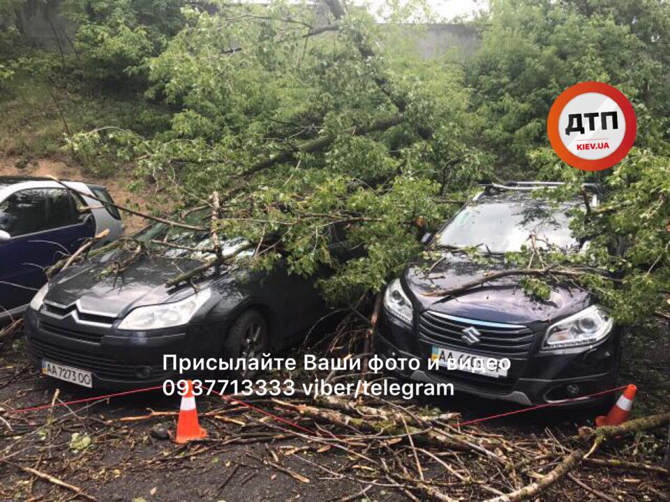 Дерево впало на припарковані машини / фото: dtp.kiev.ua Дерево впало на припарковані машини / фото: dtp.kiev.ua