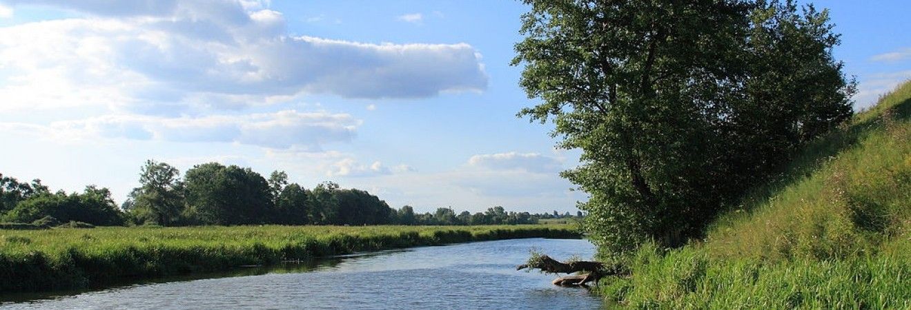 На заході України через зливи очікуються підйоми рівнів води у річках