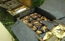 SBU reveals cache of ammunition in Zaporizhia region